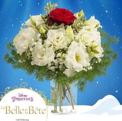 belleetlabetebouquet