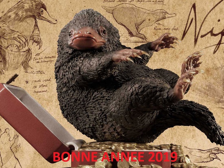 bonneanne2019