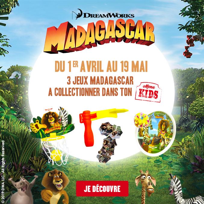 madagascarbuffalo