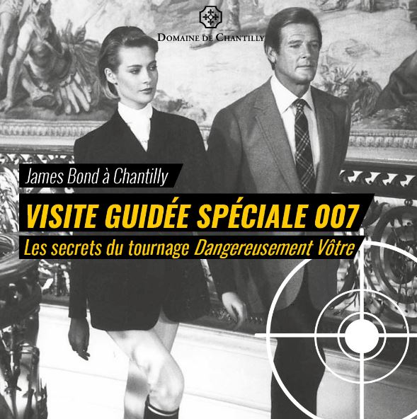 visiteguideedangereusementvotre